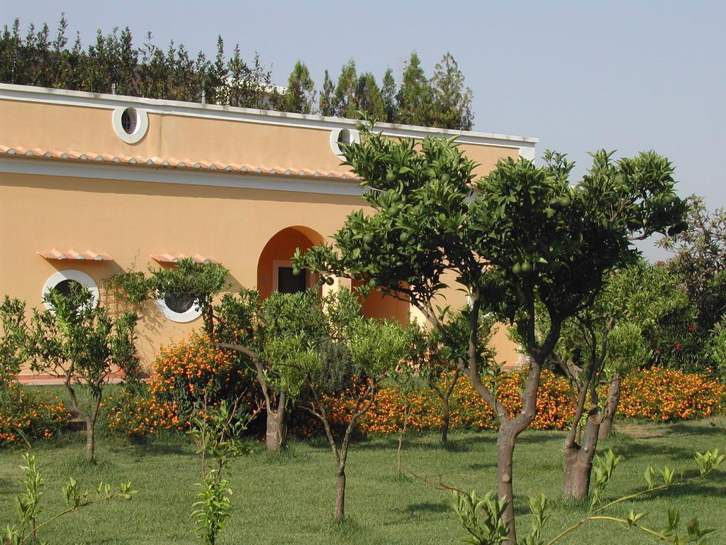 Farmstay La Morella ياتّيباليا المظهر الخارجي الصورة