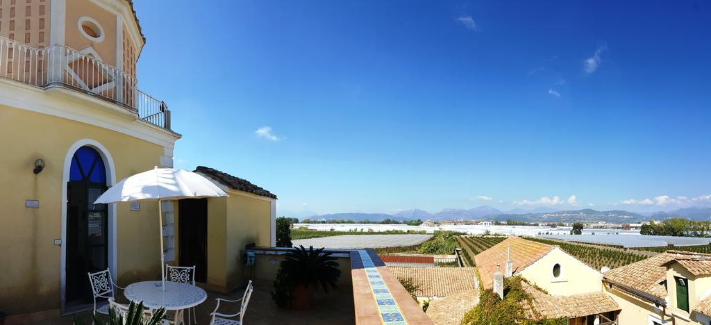 Farmstay La Morella ياتّيباليا المظهر الخارجي الصورة